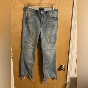Democracy Jeans